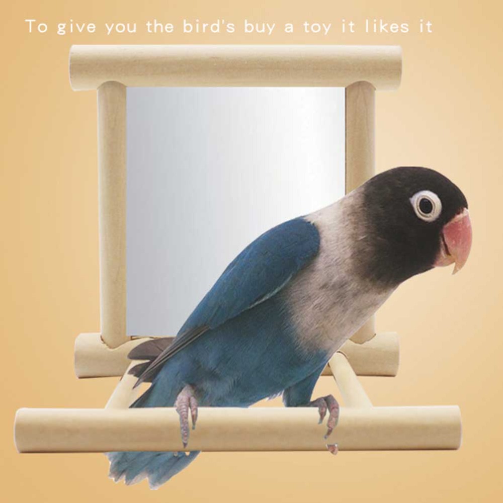 Wood Wood Bird Cage Perch Mirr - Woodworking Zone 评论和价格